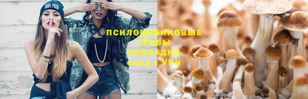 крисы Касимов