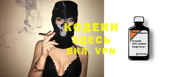 дурь Каменка