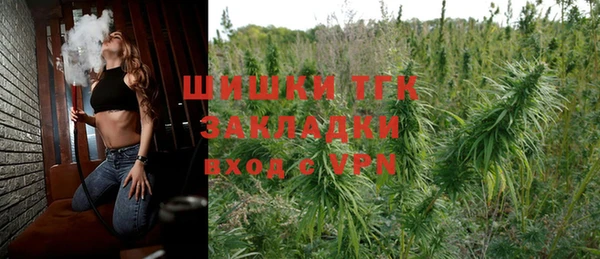 дурь Каменка