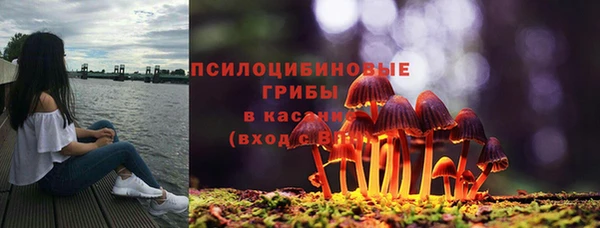 ешки Карпинск