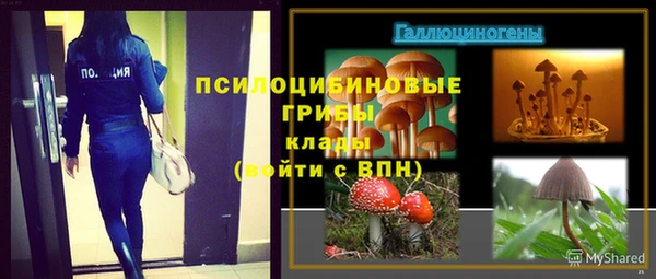 ECSTASY Каменск-Шахтинский