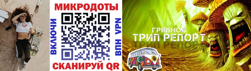 цены   Рудня  Галлюциногенные грибы Psilocybine cubensis 